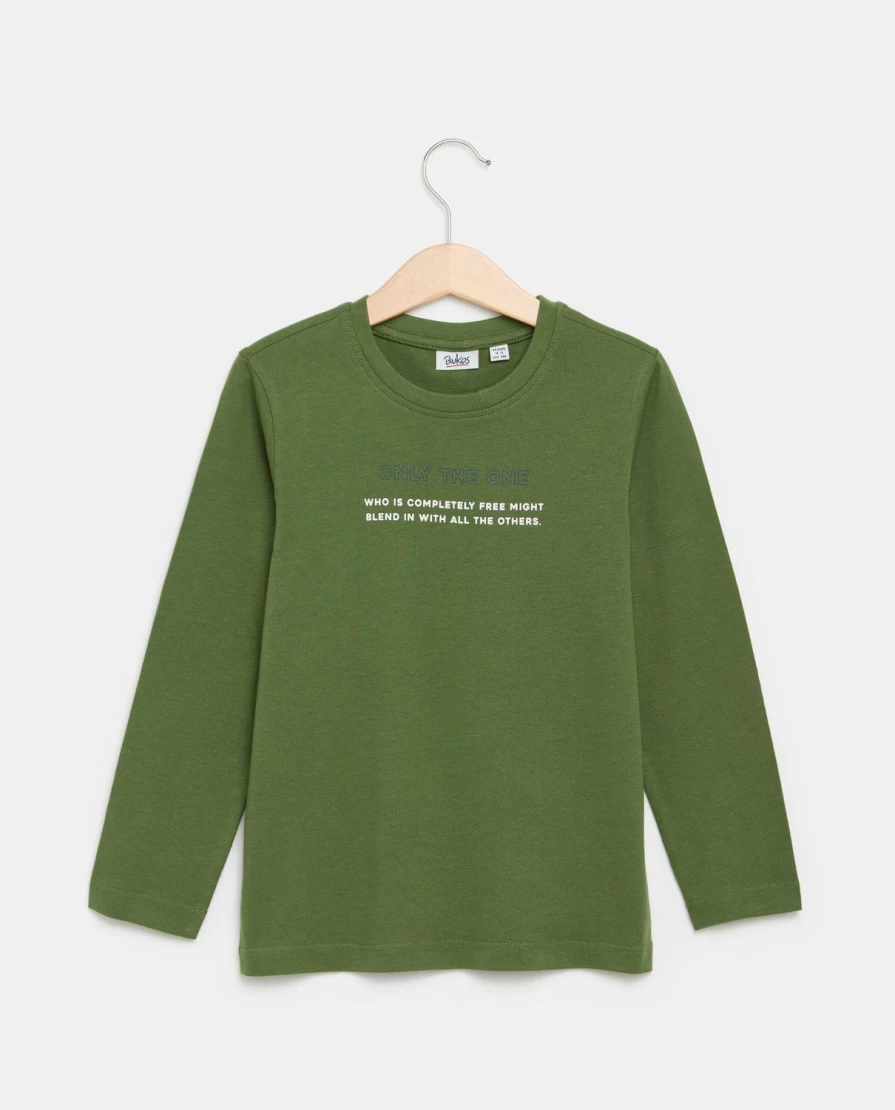 "Blukids Kids' Pure Cotton Long-Sleeve Printed T-Shirt for Children"