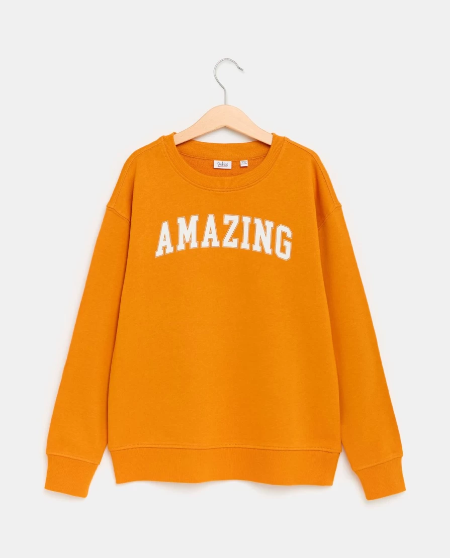 Blukids Youth Lightweight Pure Cotton Crew Neck Sweatshirt for Boys