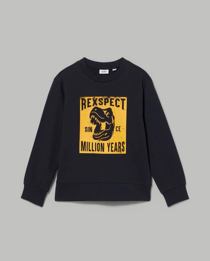 Blukids Boys' 100% Cotton Crew Neck Sweatshirt - Soft Comfortable Kids Pullover
