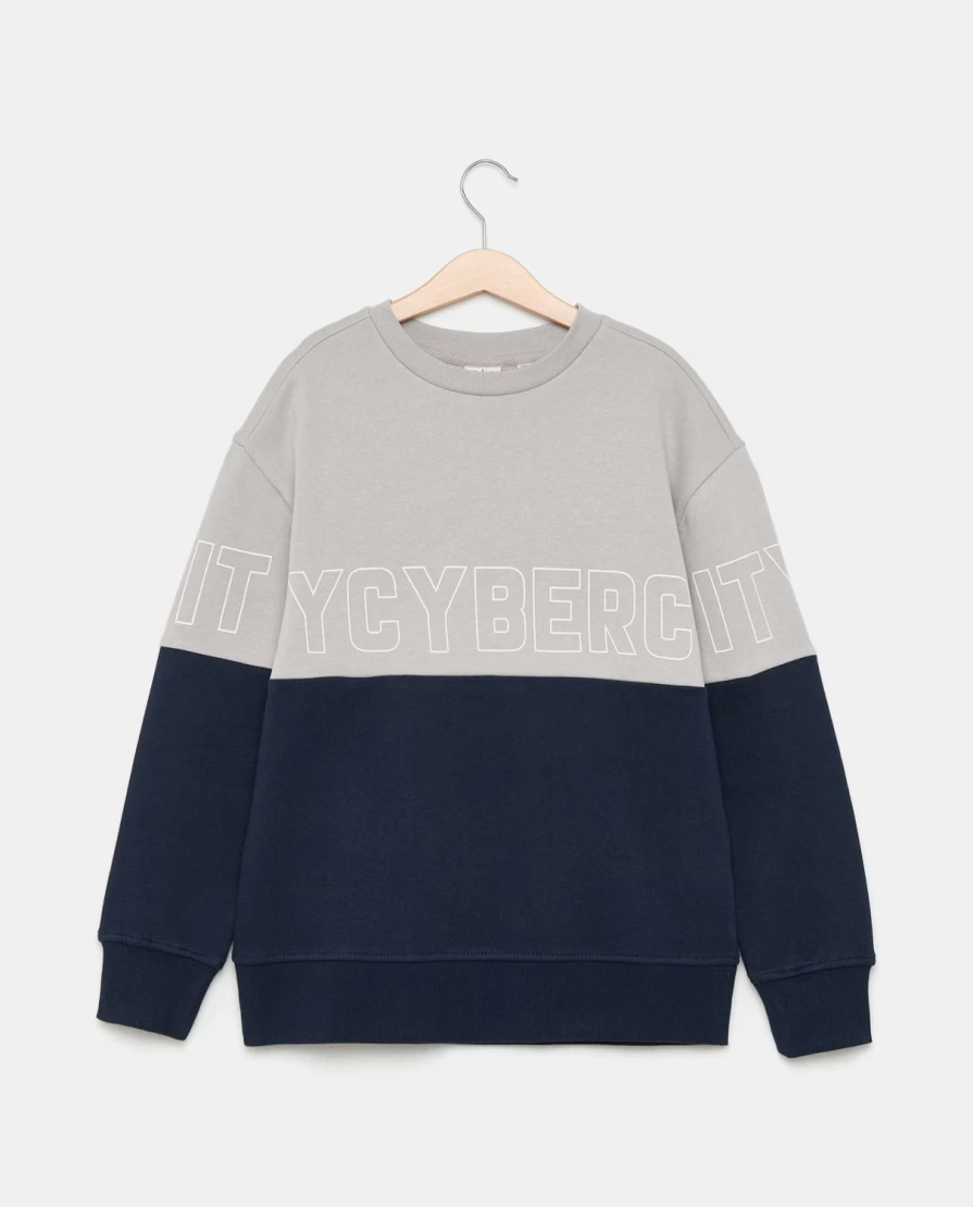 Blukids Youth Boys' Pure Cotton Comfortable Crew Neck Sweatshirt