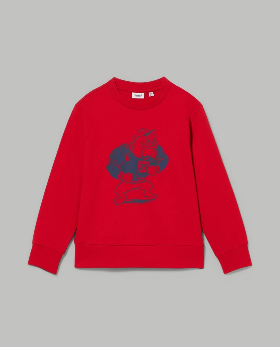 Blukids Boys' Soft Pure Cotton Crew Neck Sweatshirt - Comfortable Kids Casual Pullover