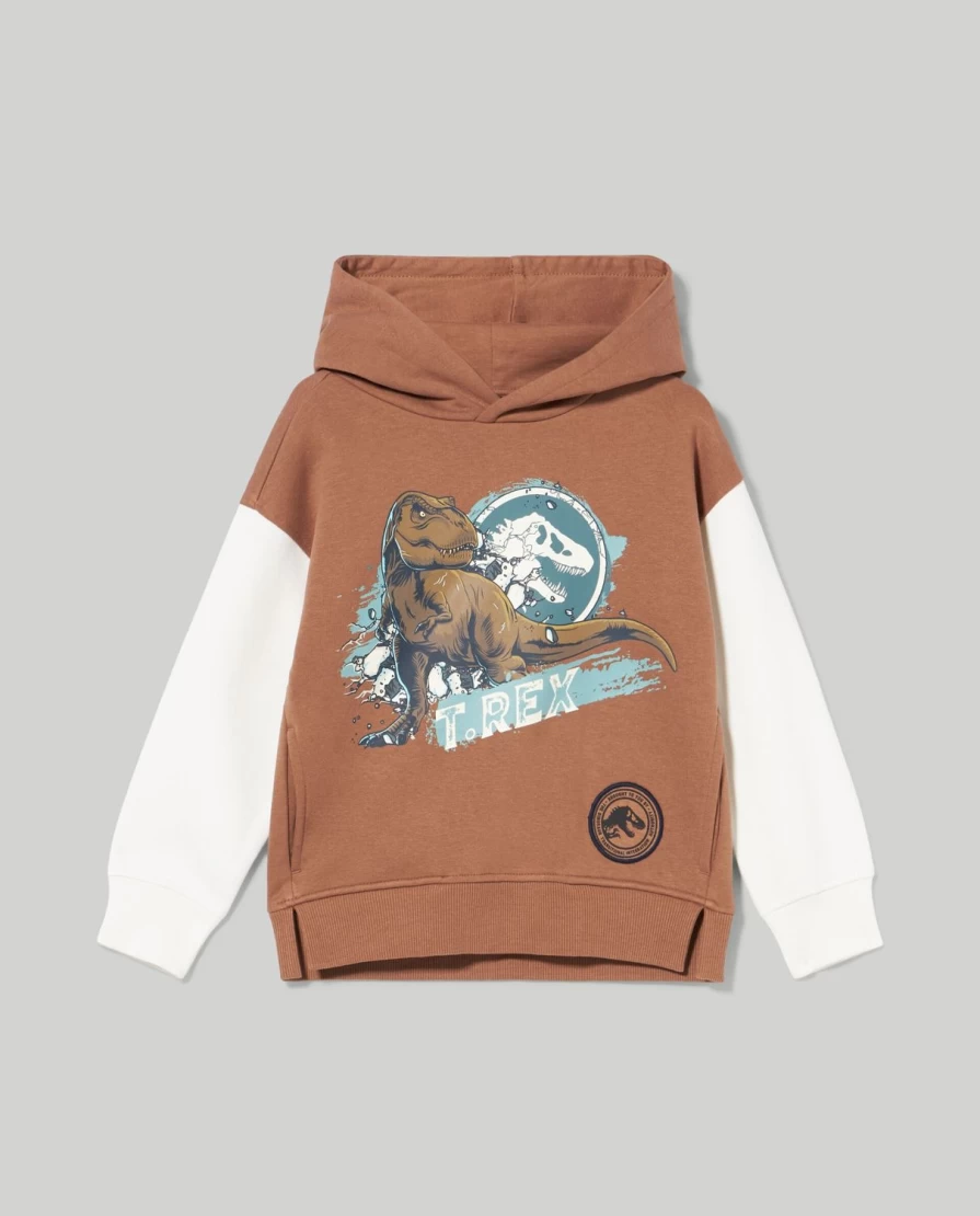 Blukids Boys' Hooded Sweatshirt with Fun Prints - Kids' Pullover Fleece Jacket